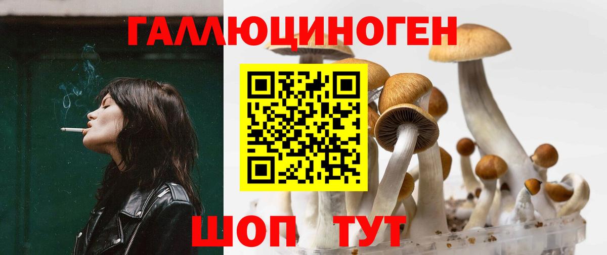 Псилоцибиновые грибы мухоморы Тавда