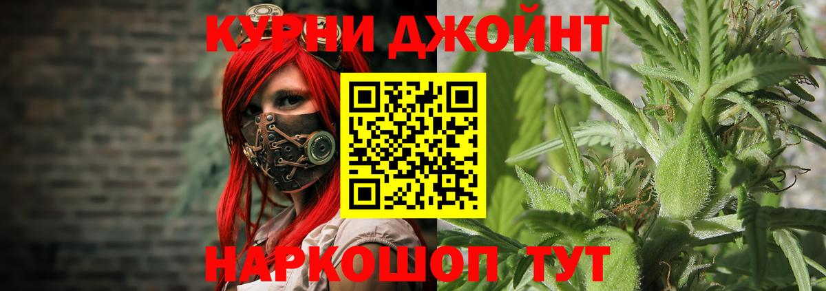 Бошки марихуана семена  Канабис планчик  Каннабис марихуана  Тавда  Вход с VPN 